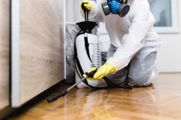 Best Best Pest Control Companies  in Bellmead, TX