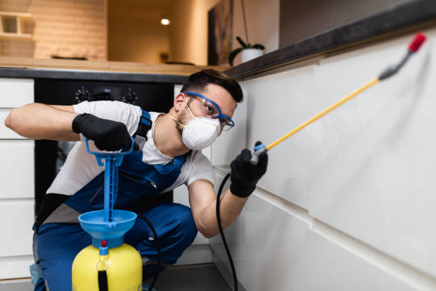 Best Flea Control Services  in Bellmead, TX