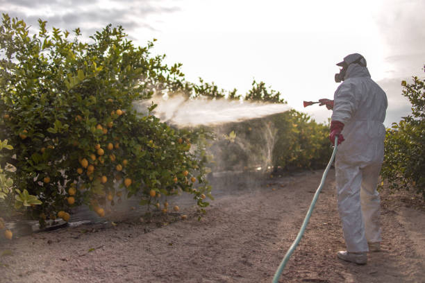 Best Commercial Pest Control Services  in Bellmead, TX