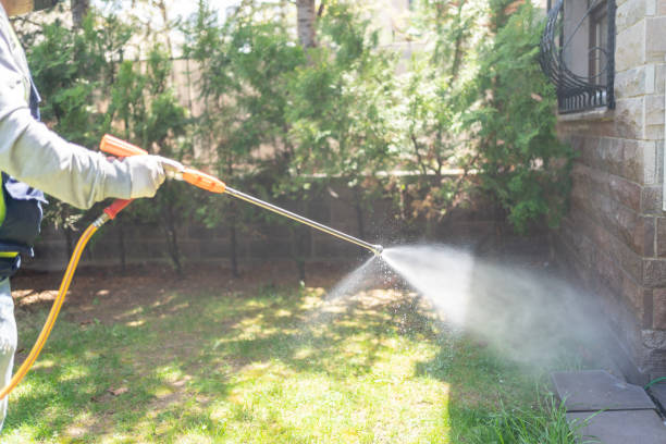 Best Flea Control Services  in Bellmead, TX