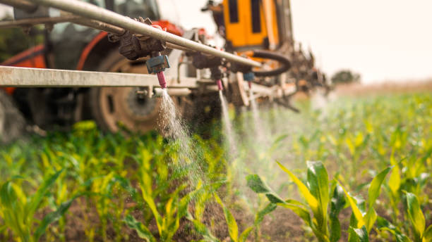 Best Commercial Pest Control Services  in Bellmead, TX